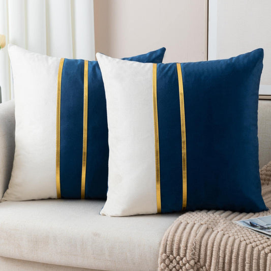 Set of 2 Velvet Decorative Throw Pillow