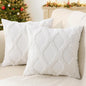 Decorative Throw Pillow