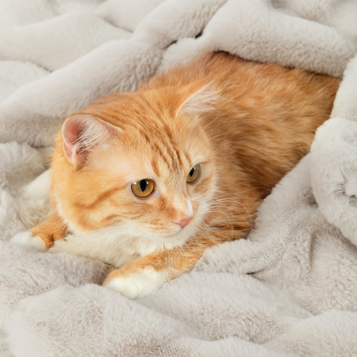 Soft Plush Thick Winter Blanket