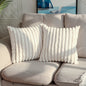 Double-Sided Plush Decorative Throw Pillow